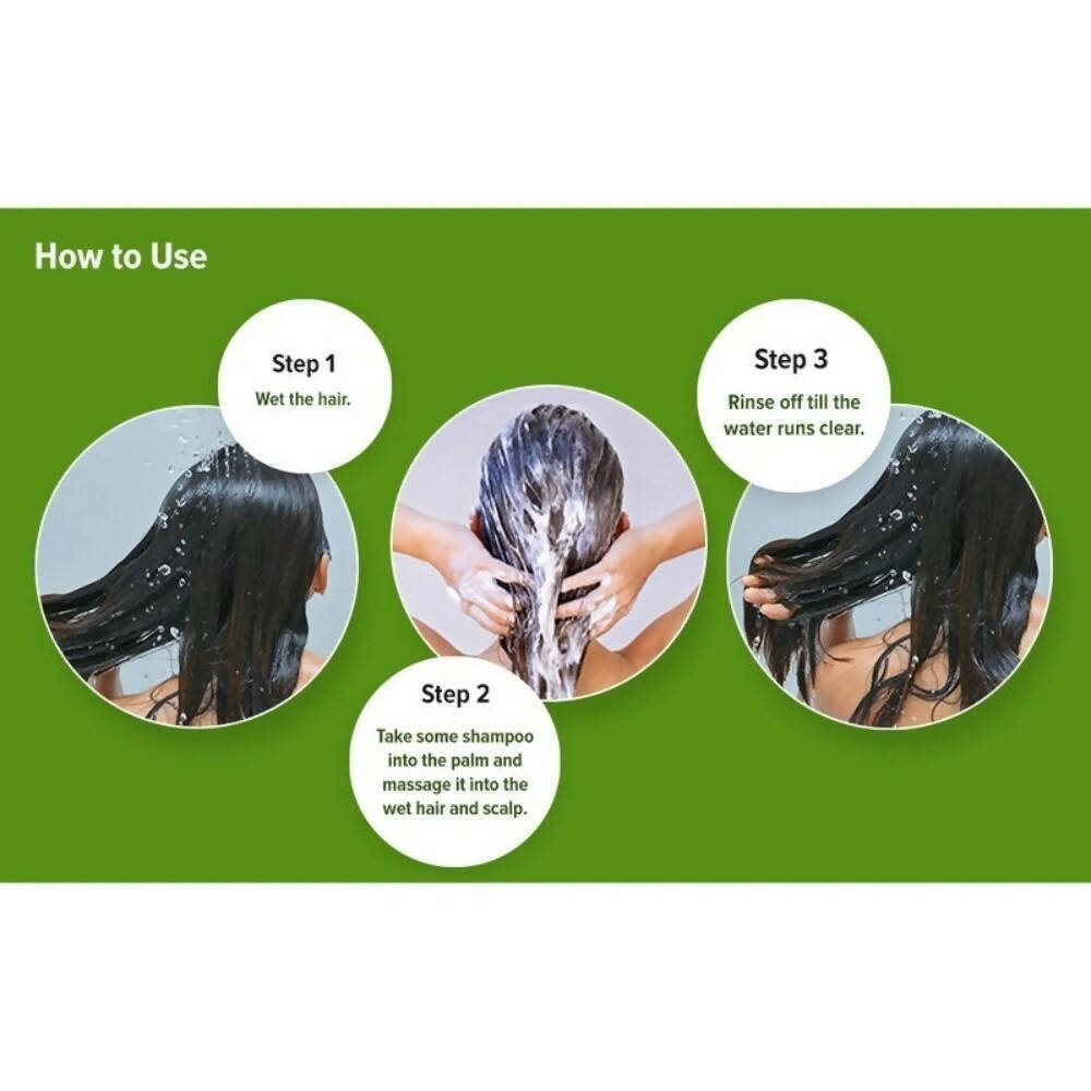 Fruiser Hair Care Shampoo With Ginseng & Aloe Vera | Grocsy