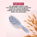 Alps Goodness Wheatstraw Detangler Brush | Grocsy