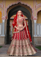 Anaita Red Net Lehenga Choli With Stone Embroidery Work | Grocsy