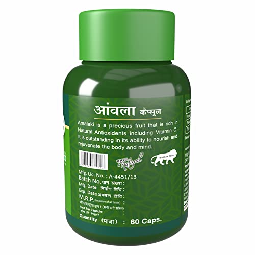 Herbal Canada Amla Extract Capsules | Grocsy