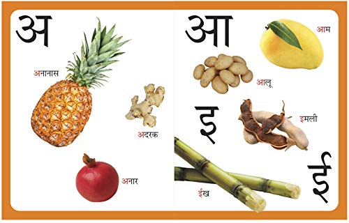 My First Book of Ka Kha Ga Hindi, Board Book for kids | Grocsy