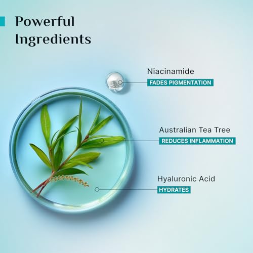 Pilgrim Tea Tree & 2% Niacinamide Face Toner For Oily Skin, Acne & Blemish Prone Skin, Pore Cleansing & Glowing Skin | Grocsy