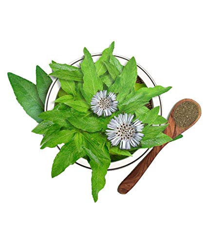 Luxura Sciences Organic Bhringraj Oil Pure and Natural Premium Therapeutic Grade Oil | Grocsy