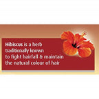 Dabur Vatika Enriched Coconut Hair Oil with Hibiscus | Grocsy