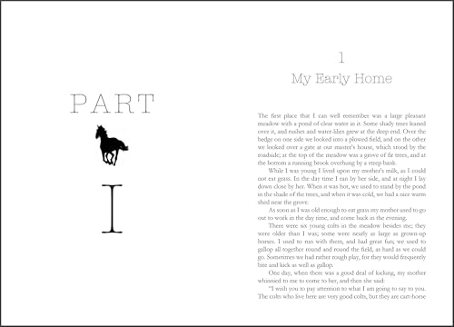 Black Beauty by Anna Sewell | Grocsy