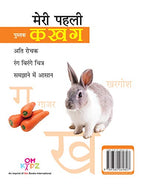 My First Book of Ka Kha Ga Hindi, Board Book for kids | Grocsy