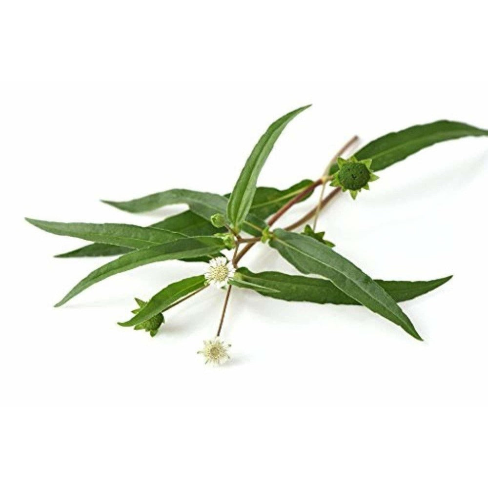 Mesmara Herbal Bhringraj Powder 100g | Grocsy
