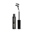 Lakme Absolute Shine Liquid Eye Liner, Black | Grocsy
