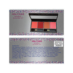 Miss Claire Mineral Blusher Kit - 3716-4-2 | Grocsy