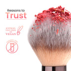 Swiss Beauty Bake Me Up Blush & Highlighter , 2-In-1 Baked Formula, Long-Lasting - Coral Glaze | Grocsy