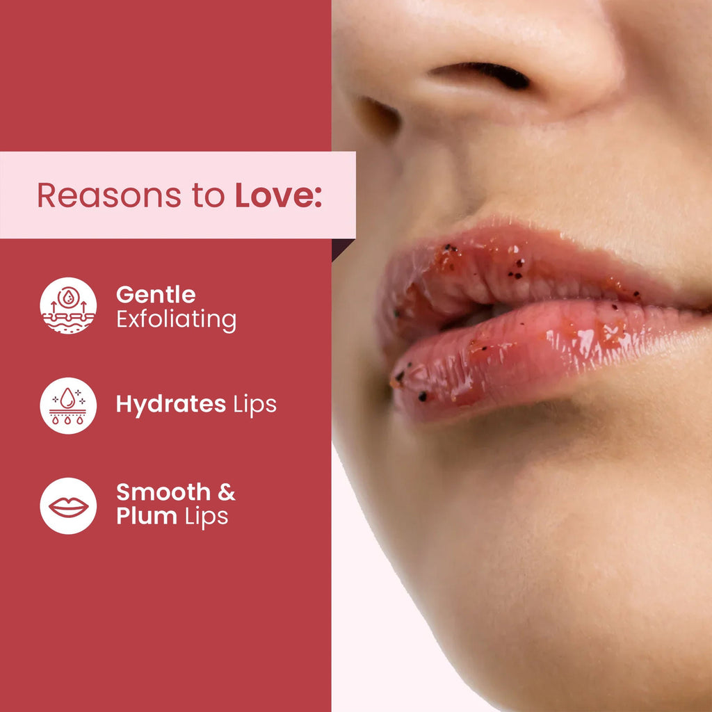 SANCTUS Lip Exfoliating Scrub | Grocsy