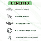 Blue Nectar Shubhr Green Apple Lip Balm with Ghee & Natural Vitamin C | Grocsy