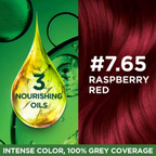 Garnier Color Naturals Ultra Hair Color - 7.65 Raspberry Red | Grocsy