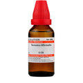 Dr. Willmar Schwabe India Veronica Officinalis Dilution | Grocsy
