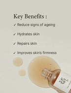 Beauty of Joseon Revive Serum - Ginseng + Snail Mucin For Hydrating, Nourishing, and Youthful Serum - Korean Skincare | Grocsy
