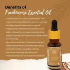 Organicos Frankincense Essential Oil | Grocsy