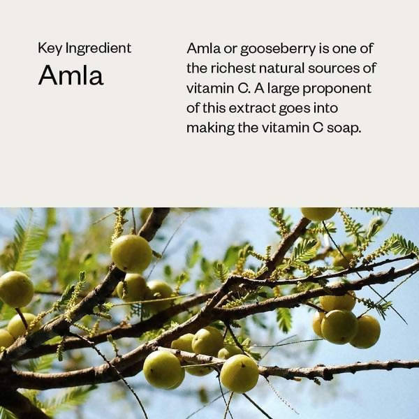 Haeal Vitamin C Soap | Grocsy