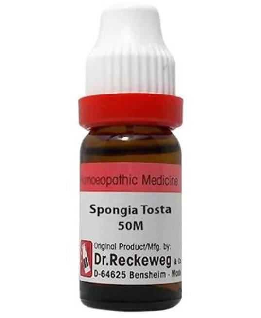Dr. Reckeweg Spongia Tosta Dilution | Grocsy
