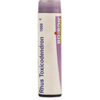 Boiron Homeopathy Rhus Toxicodendron | Grocsy