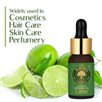Old Tree 100% Pure Lime Essential Oil | Grocsy