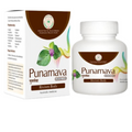Pentacare Ayurveda Punarnava Ghanavati | Grocsy