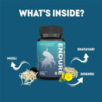 Aadar Endure 500mg Capsules | Grocsy