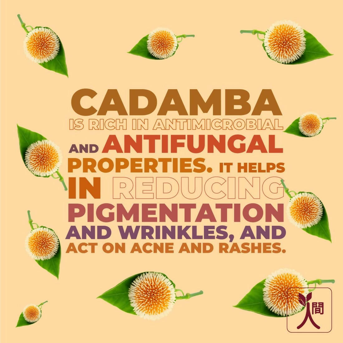 Ningen Cadamba Cleansing Milk Cream | Grocsy