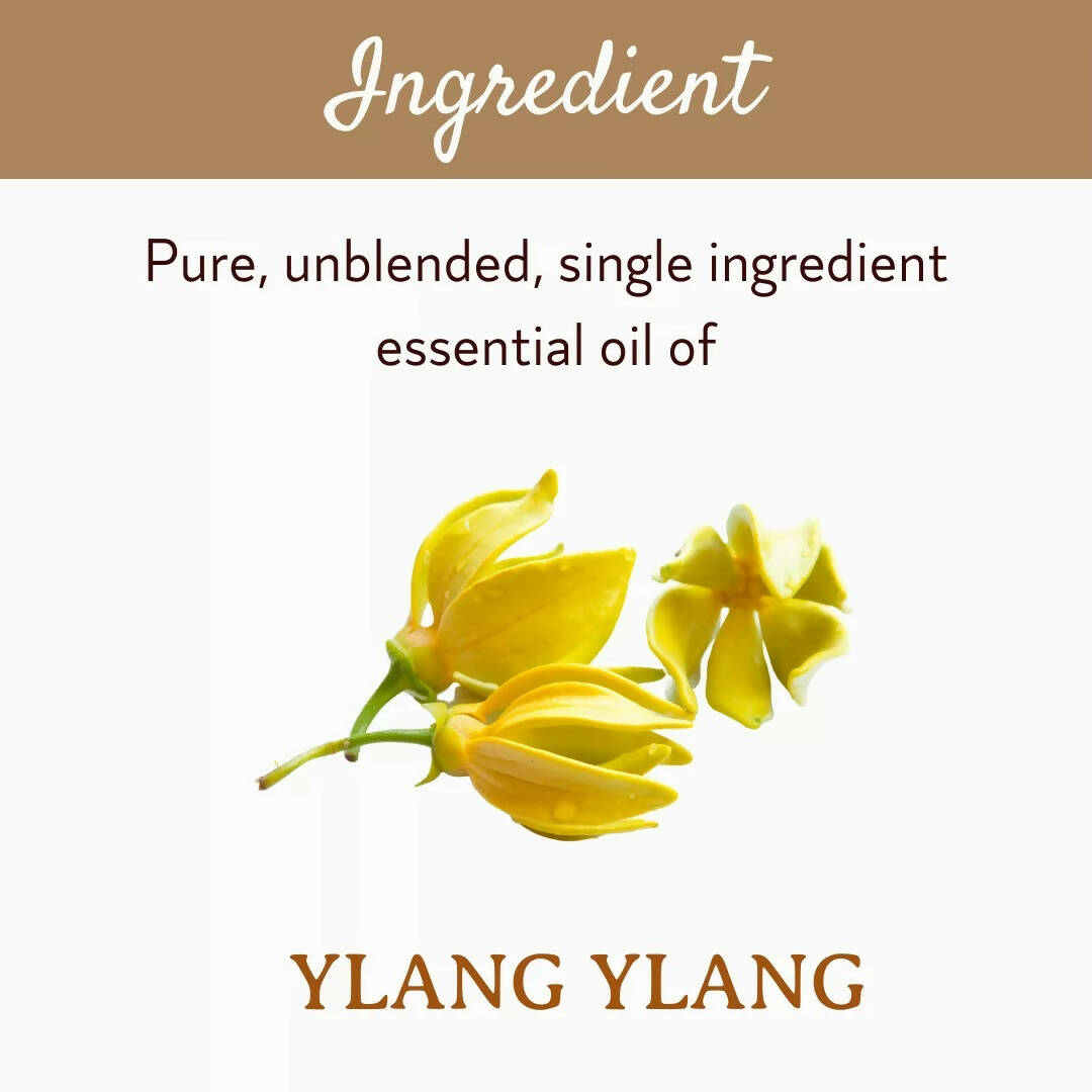 Mitti Se Ylang Ylang Essential Oil | Grocsy