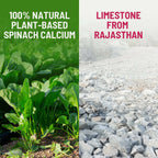 Gynoveda Spinach Calcium Drops | Grocsy