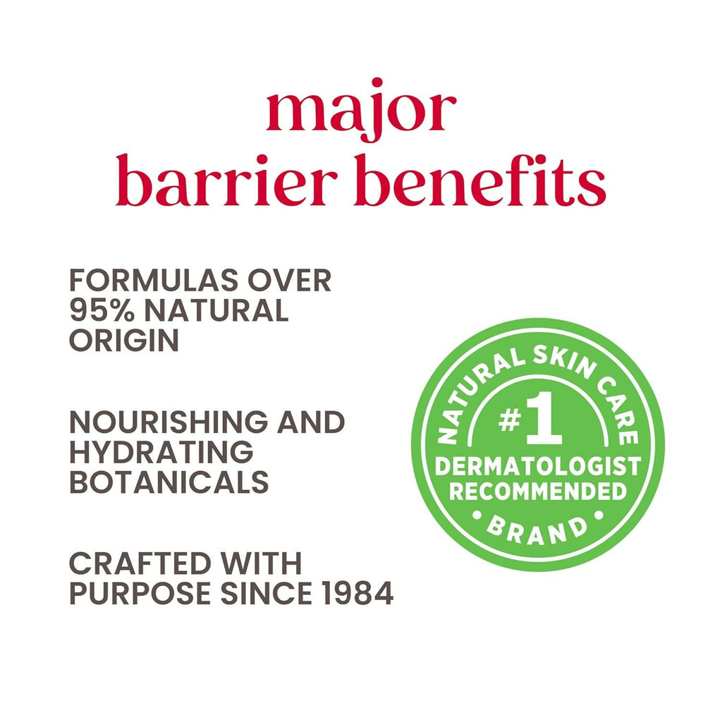 Burt's Bees Natural Moisturizing Lip Balms (Original Beeswax, Strawberry, Coconut & Pear, Vanilla Bean) | Grocsy