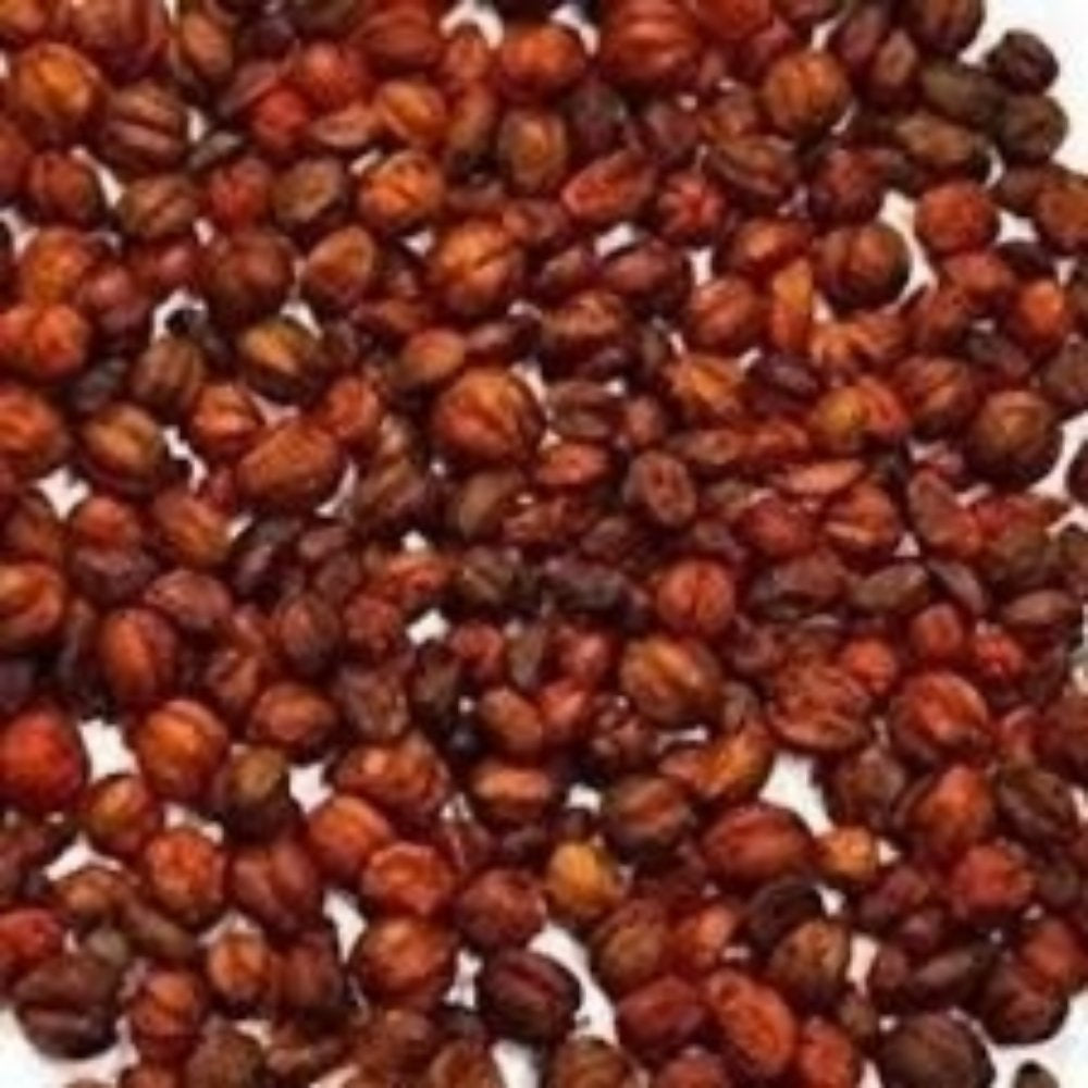 Nxtgen Ayurveda Malkangani Seeds | Grocsy