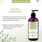 Glamveda Anti Dandruff & Healthy Hydration Tea Tree Conditioner | Grocsy
