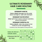 Alps Goodness Rosemary Hair Oil For Hair Growth | Grocsy