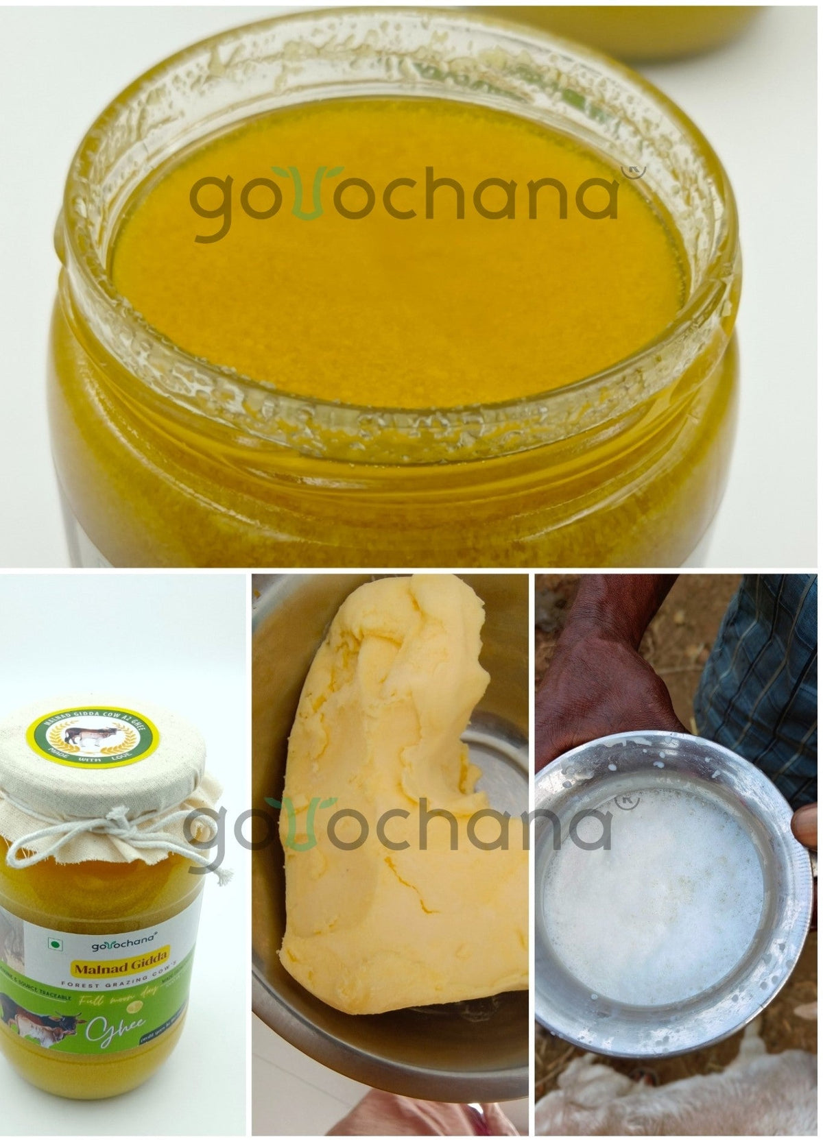 Gorochana 100% Source Traceable Desi Malnad Gidda A2 Full Moon Day Bilona Cow Ghee | Pure Ghee | Organic Ghee - Limited Time Offer - Swadesiicart