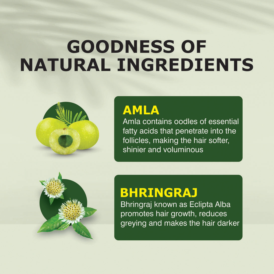 Nuerma Science Amla Bhringraj Hair Oil | Scalp Nourishment & Natural Conditioning | Grocsy