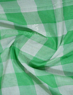 Cream And Green Colored With Checks Pure Mangalgiri Cotton Saree By Gayathri Reddy Designer Studio | Grocsy