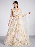 House of Panchhi Cream Net Sequins, Mirror And Thread Embroidery Lehenga Choli & Dupatta | Grocsy