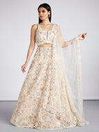 House of Panchhi Cream Net Sequins, Mirror And Thread Embroidery Lehenga Choli & Dupatta | Grocsy