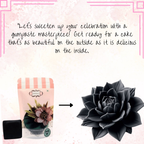 Confect Black | Edible Gum paste | Grocsy