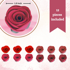 Confect Ombre- 2 | Edible Sugar Roses Topper | Grocsy