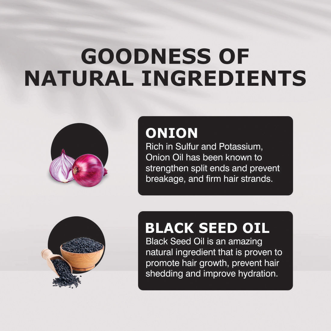 Nuerma Science Onion Black Seed Hair Oil | Grocsy