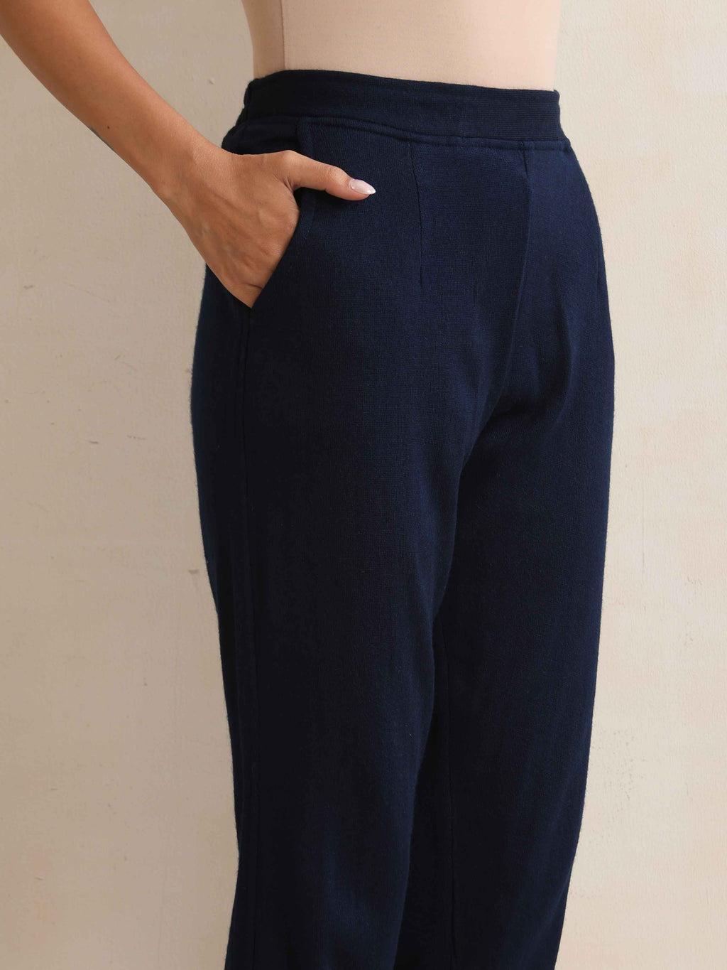 trueBrowns Navy Woollen Pants | Grocsy