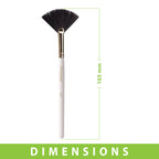 MiDazzle Fan Brush MIMB1307 | Grocsy
