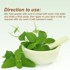 Nuerma Science Tulsi Natural Powder For Face & Hair Care | Grocsy