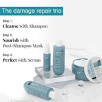 Bare Anatomy Expert Damage Repair Kit (Shampoo + Hair Mask + Serum) | Repairs Damaged, Weak and Dry Hair | Grocsy