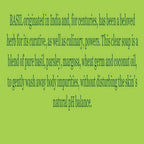 Biotique Advanced Ayurveda Bio Basil & Parsley Revitalizing Body Soap | Grocsy