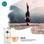 Chai Spa Urja Green Tea | Grocsy