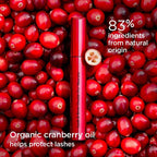 Clarins Lash & Brow Double Fix' Mascara | Grocsy