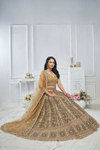 Kesar Fab Brown Net Embroidered Lehenga | Grocsy