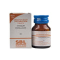SBL Homeopathy Titanium Metallicum Trituration Tablets | Grocsy